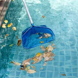 Choosing Pool Masters_